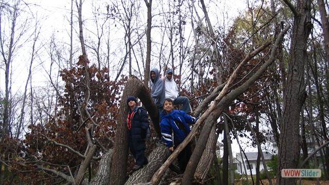 boyscouts 101