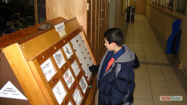 boyscouts 104