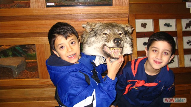 boyscouts 113